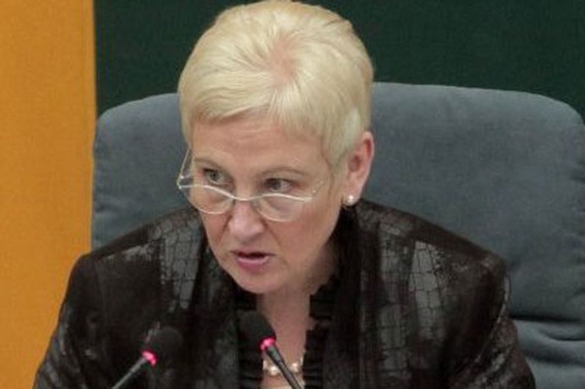Глава Сейма Литвы обеспокоена планами Белоруссии и РФ построить АЭС

