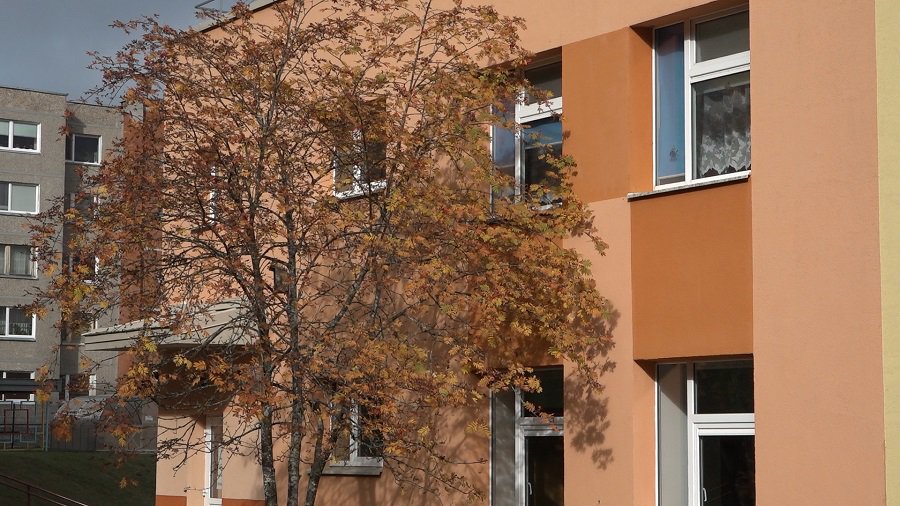 Центр благополучия семьи и ребенка в случае необходимости готов принять детей из Украины (видео) - В Висагинасе