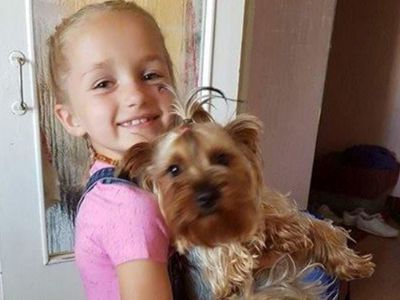 Участник № 56 конкурса «Мой домашний любимец» - Конкурсы для читателей