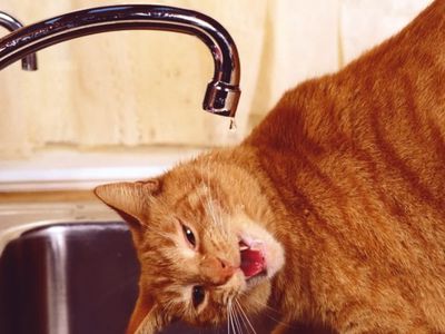 В понедельник жители 1-го микрорайона были обеспокоены качеством питьевой воды - В Висагинасе