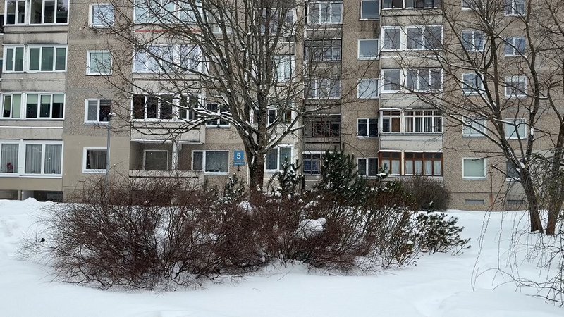 От анонимного письма до Конституционного суда: финал истории улицы Тарибу - В Висагинасе