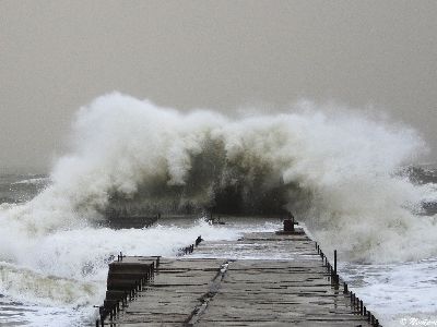 Ночью Литву накроет шквал                                                                                                 - Литва и страны Балтии
