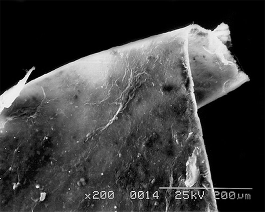 Нанотрубки потеснят привычные акустические системы - Наука и здоровье