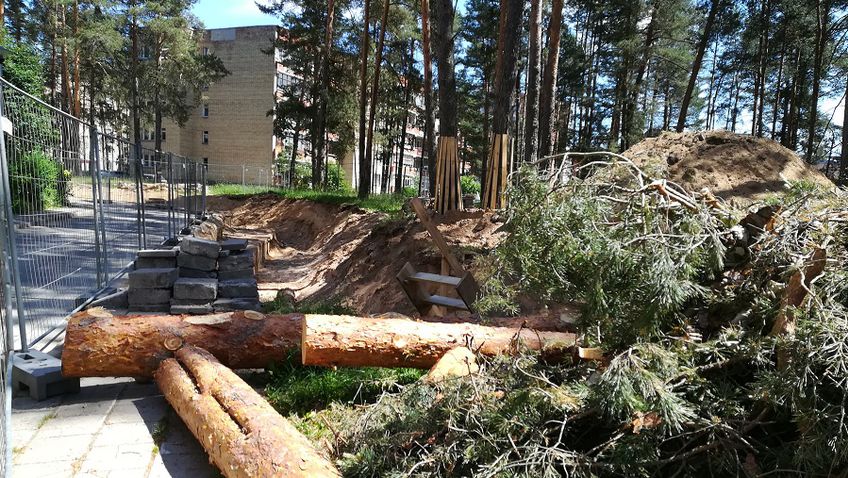 Почему вырубают деревья при реконструкции теплотрасс?