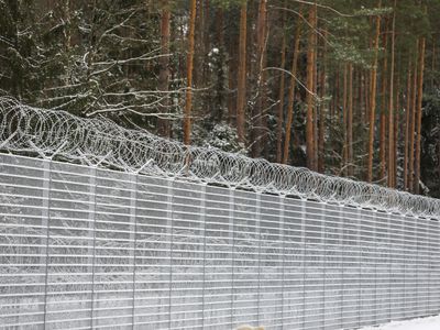 В четверг в Литву пограничники не впустили 11 нелегальных мигрантов - Литва и страны Балтии