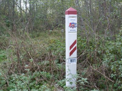 За полгода латвийские пограничники задержали 122 человека - Происшествия и криминал