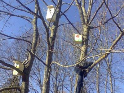 Pavasaris ateis sekmadienį - Lietuva ir Baltijos šalys