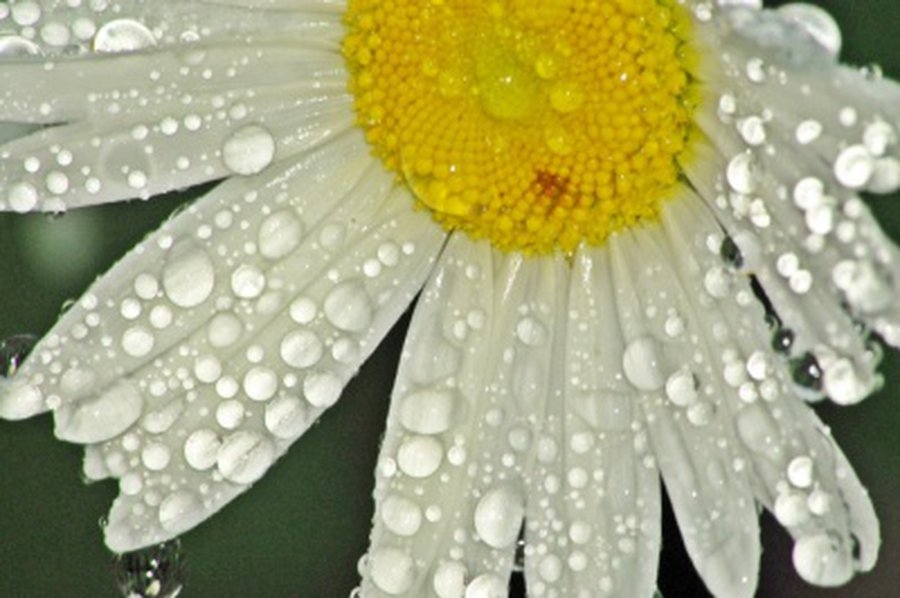 Rytoj – saulėta, sekmadienį – lietus - Lietuva ir Baltijos šalys