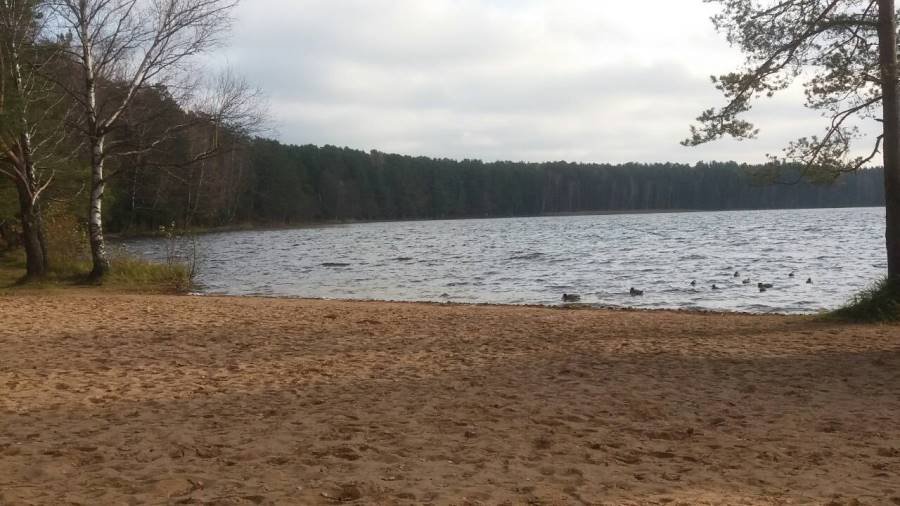 Фото дня. Ранняя осень, любви умирающей... - В Висагинасе