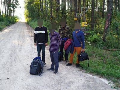 Литва удовлетворила 2 из 1 289 рассмотренных просьб нелегальных мигрантов об убежище - МВД - Литва и страны Балтии