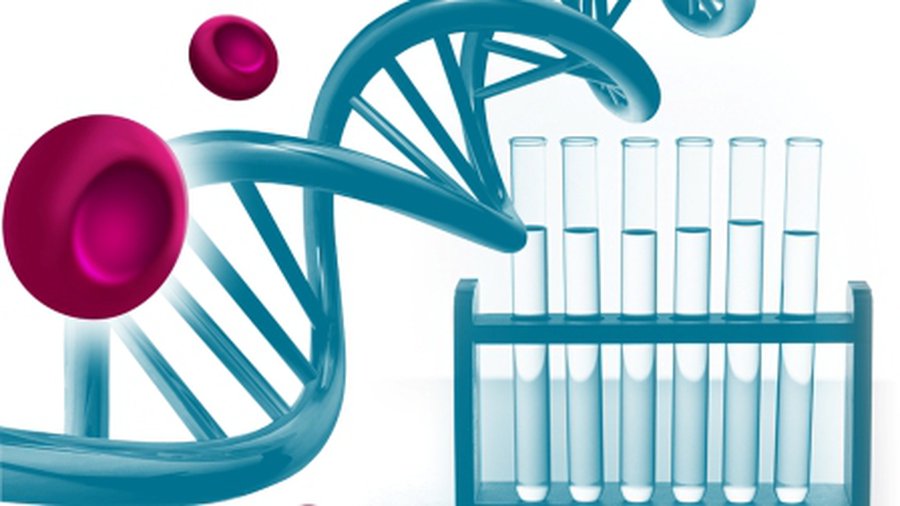 Заново выращенная искусственная почка может заменить настоящую - Наука и здоровье