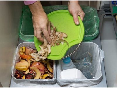 Скоро в Висагинасе начнется сбор пищевых отходов. Будут ли жители платить за их вывоз? (видео) - В Висагинасе