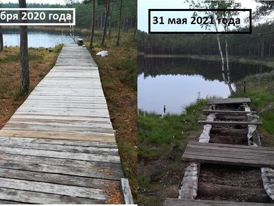 Неприятие прекрасного: на озере Кукуйже снова разрушена часть деревянной тропы (фотогалерея) - В Висагинасе