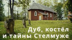 Стелмуже: вековая история дуба и поместья (фильм)