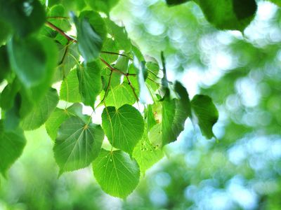 Погода меняется: надо готовиться к разным сценариям - Литва и страны Балтии