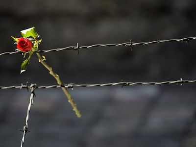 В Литве прошли траурные мероприятия, приуроченные к 70-летию Холокоста


                                 - Литва и страны Балтии