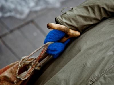 Президент Литвы ждет от властей механизма компенсаций урезанных пенсий - Литва и страны Балтии