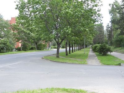 Объявлена закупка на подготовку проекта благоустройства территории от ул. Космосо до ул. Партизану - В Висагинасе