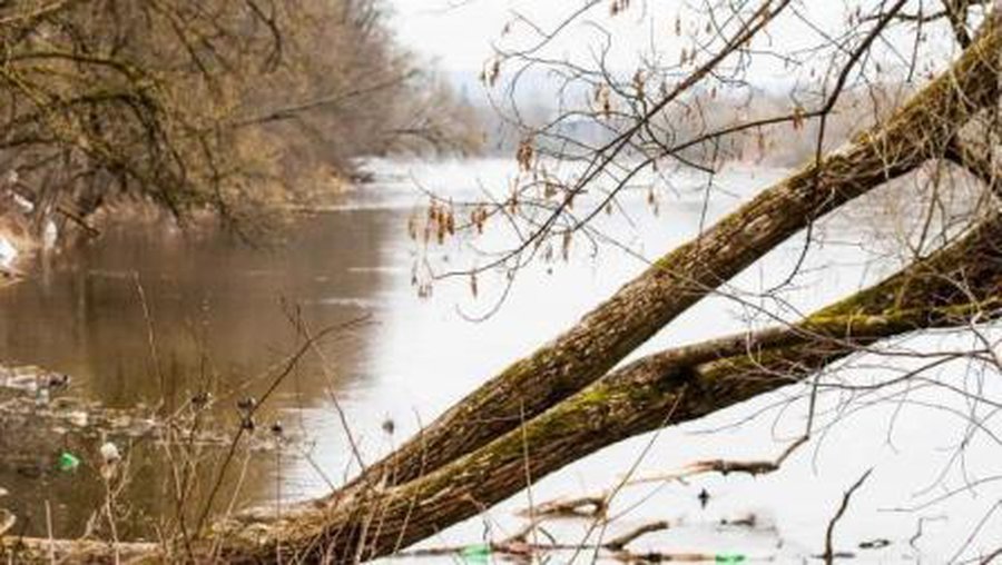 Погода: температура поднимется до 20 градусов - Литва и страны Балтии