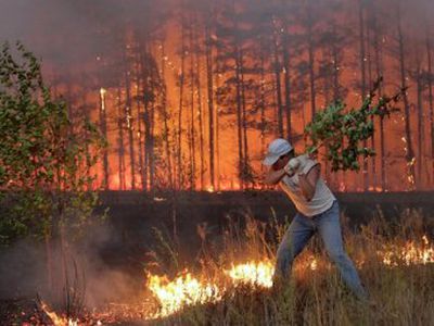 Izraelyje per miško gaisrus žuvo 40 žmonių - Pasaulyje