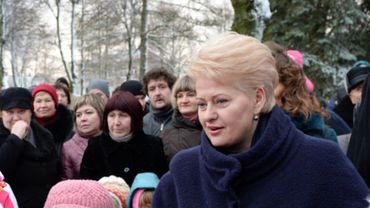 Президент Литвы подписала Закон о развитии неправительственных организаций (НПО)
