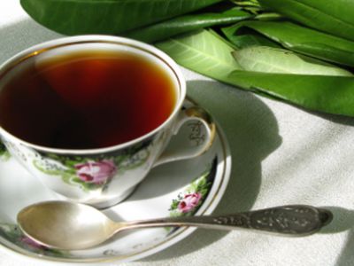 Ученые объяснили пользу «кофейного чая» - Наука и здоровье