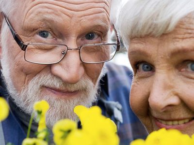 В цифрах и фактах: что продлевает жизнь человеку? - Наука и здоровье