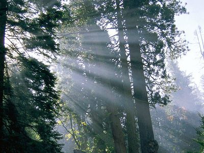 Grožėtis gamta - tik įsigijus bilietą - Lietuva ir Baltijos šalys