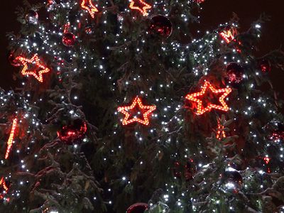 Висагинас зажег огни на главной городской елке (видео) - В Висагинасе