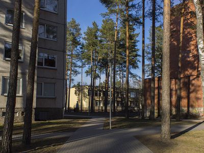 Хотите срубить дерево у подъезда? Соберите подписи соседей! - В Висагинасе