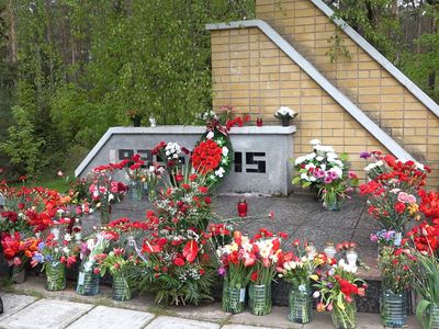 9 Мая в Висагинасе. «Память о павших нужно пронести через все поколения» (видео) - В Висагинасе