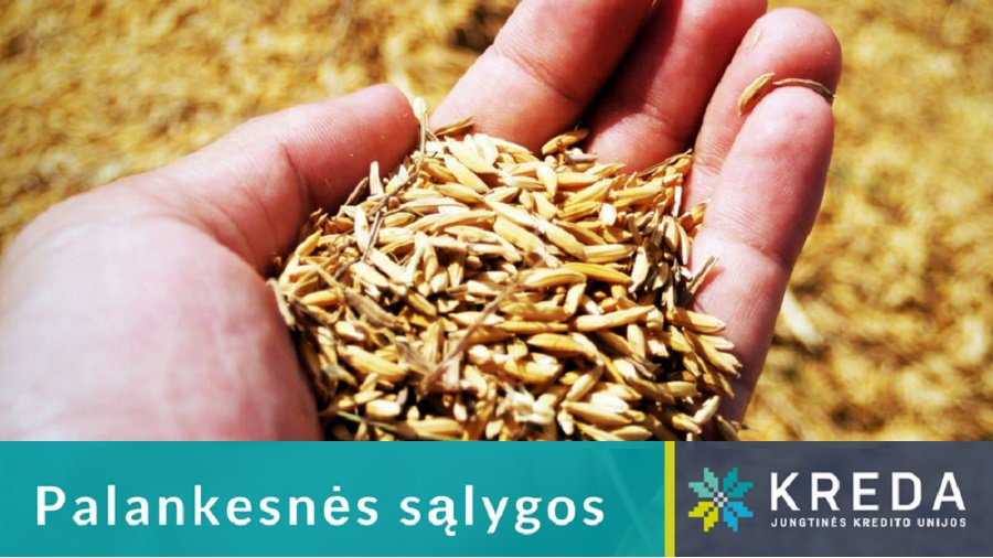 В Игналинском крае стоит заниматься фермерством - Реклама