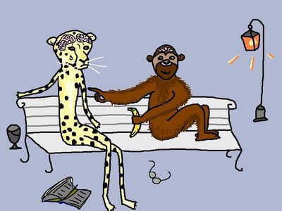 Если человек эволюционировал от обезьяны, то почему обезьяны до сих пор остались? Почему не все обезьяны эволюционировали в человека? - Наука и здоровье