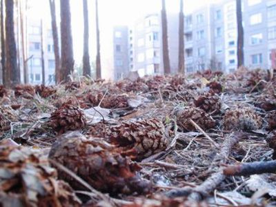 БЕЗ ЦЕНЗУРЫ: А.Клочан: Мягко стелят на словах - жестко спать в реале будет... - Без цензуры