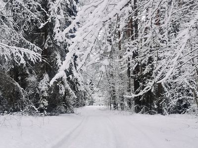 Литва обеспечила себя газом на зиму - Литва и страны Балтии