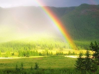 Новая версия появления жизни на Земле
 - Наука и здоровье