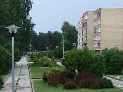 «Глас народа» об улице Висагино: «Изуродовали аллею» - В Висагинасе