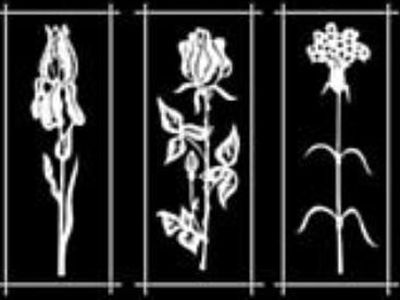 Приглашаем на выставку вырезок из бумаги народной художницы Литвы - В Висагинасе