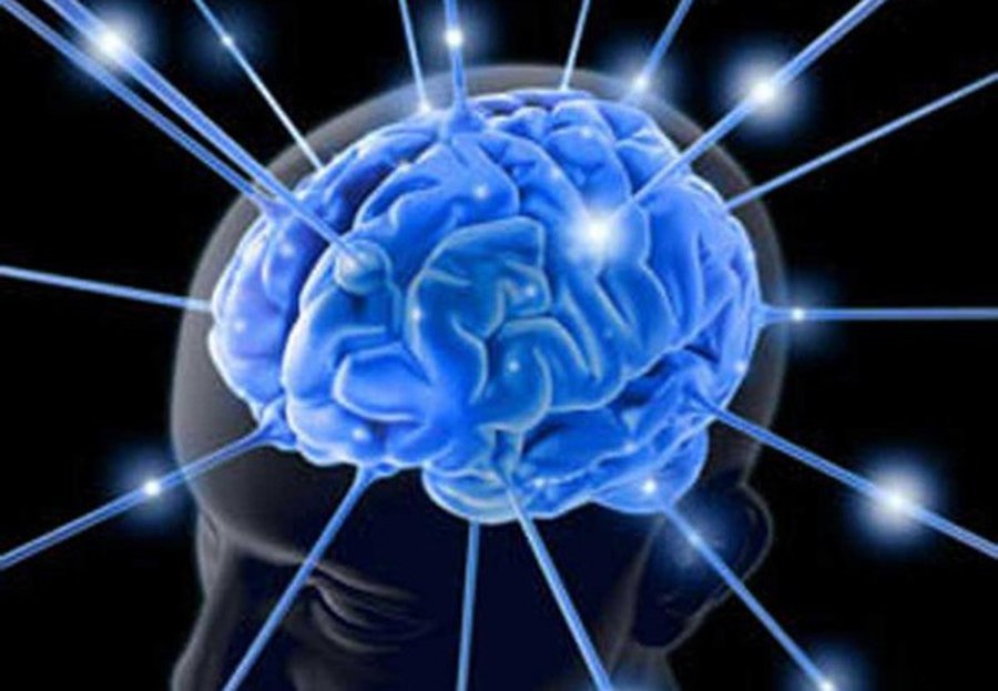 Мозг может меняться всю жизнь - Наука и здоровье