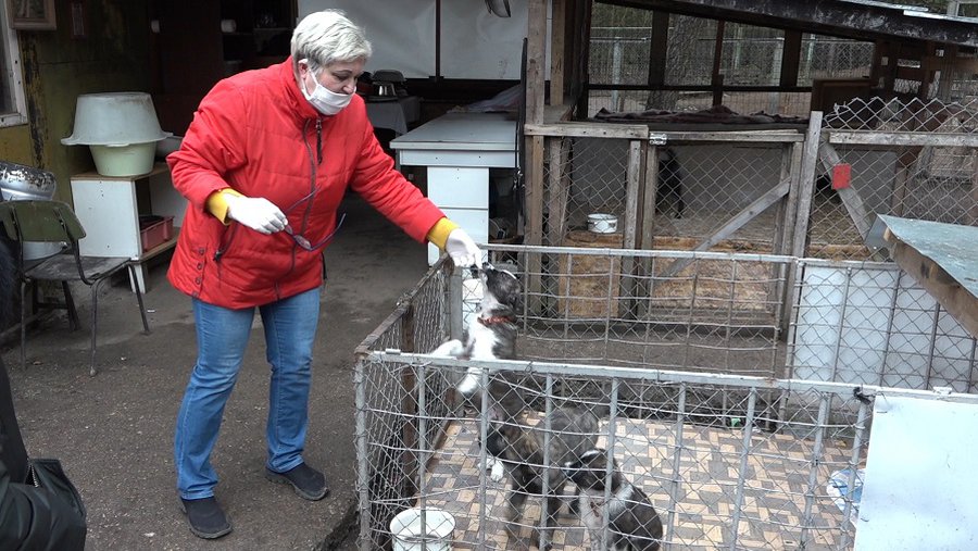 Как живет приют «Padėk man» в условиях карантина? (видео) - В Висагинасе