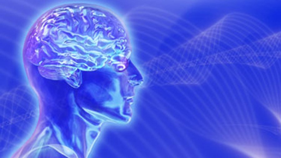 Голландцы разработали программу для чтения мыслей - Хобби, отдых и развлечения