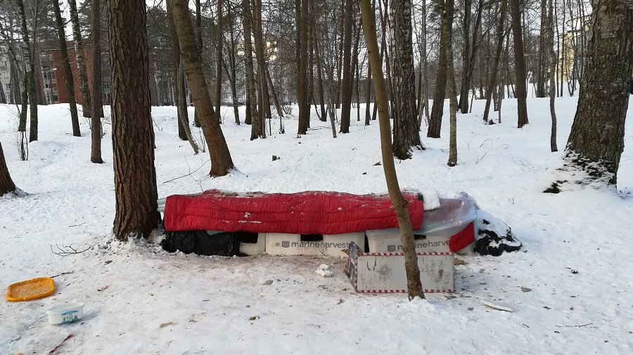 Где кошки зимуют? - В Висагинасе