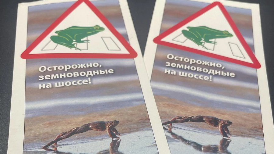 Помоги лягушке перейти дорогу - Это интересно