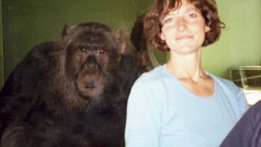 У Европейского суда потребовали прав человека для шимпанзе