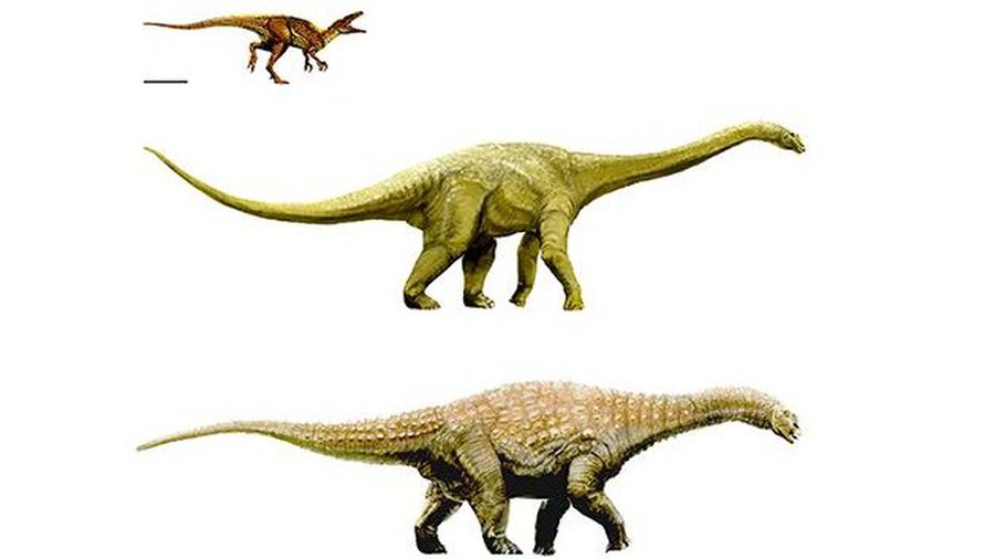 В Австралии найдены останки трех новых видов динозавров - Наука и здоровье