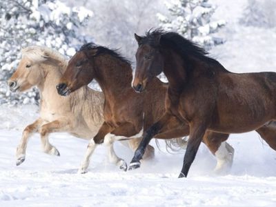 Вниманию зрителей телеканала ТТС! - Новости TTS