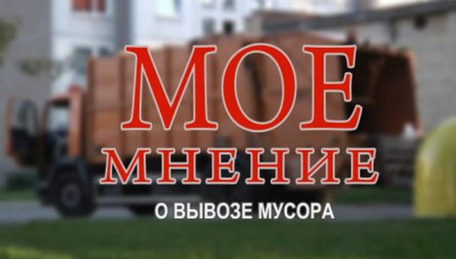 Александр Клочан: Коренная реформа системы вывоза бытовых отходов давно назрела - В Висагинасе