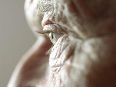 Ученые нашли средство от старения                                 - Наука и здоровье