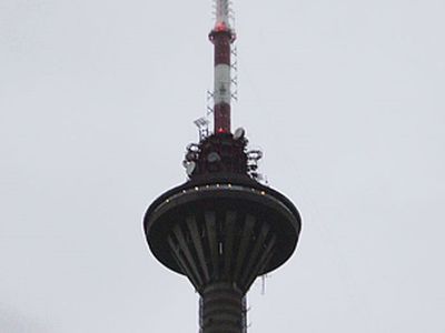 Эстонские патриоты побегут по следам советских десантников - Литва и страны Балтии