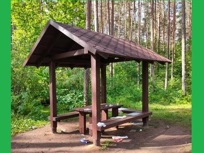 Спустя месяц, новые места отдыха утратили свою красоту - В Висагинасе